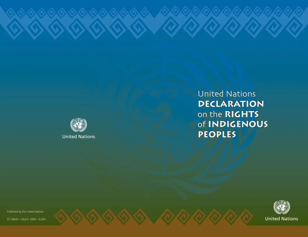 United Nations Declaration on the Rights of Indigenous Peoples