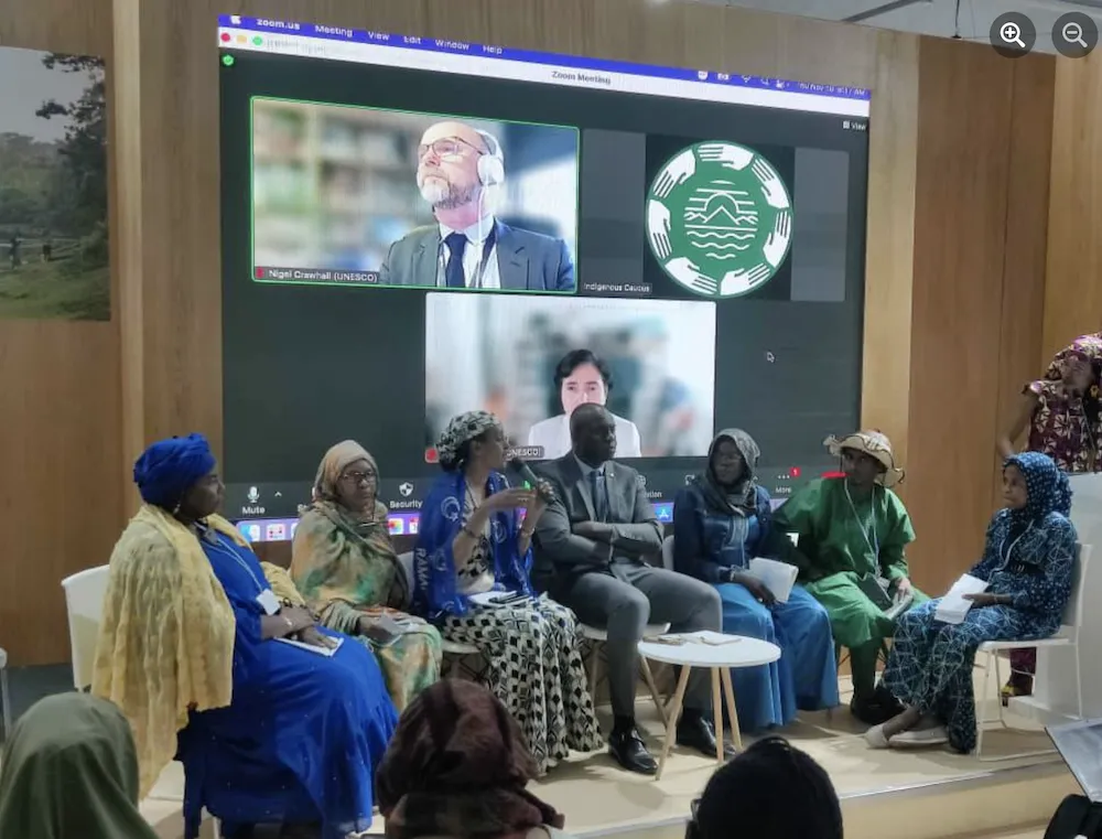 Aehshatou Manu speaking at COP 27 panel
