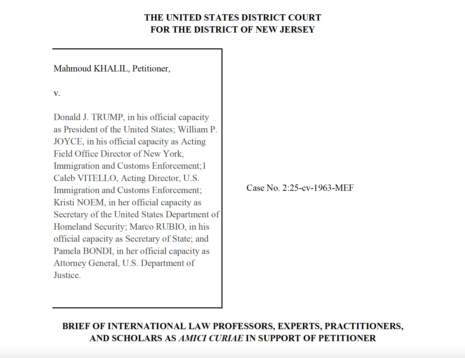 The United States District Court for the District of New Jersey Brief of International Law Professors, Experts, Practitioners, and Scholars as amicus curiae in support of petitioner