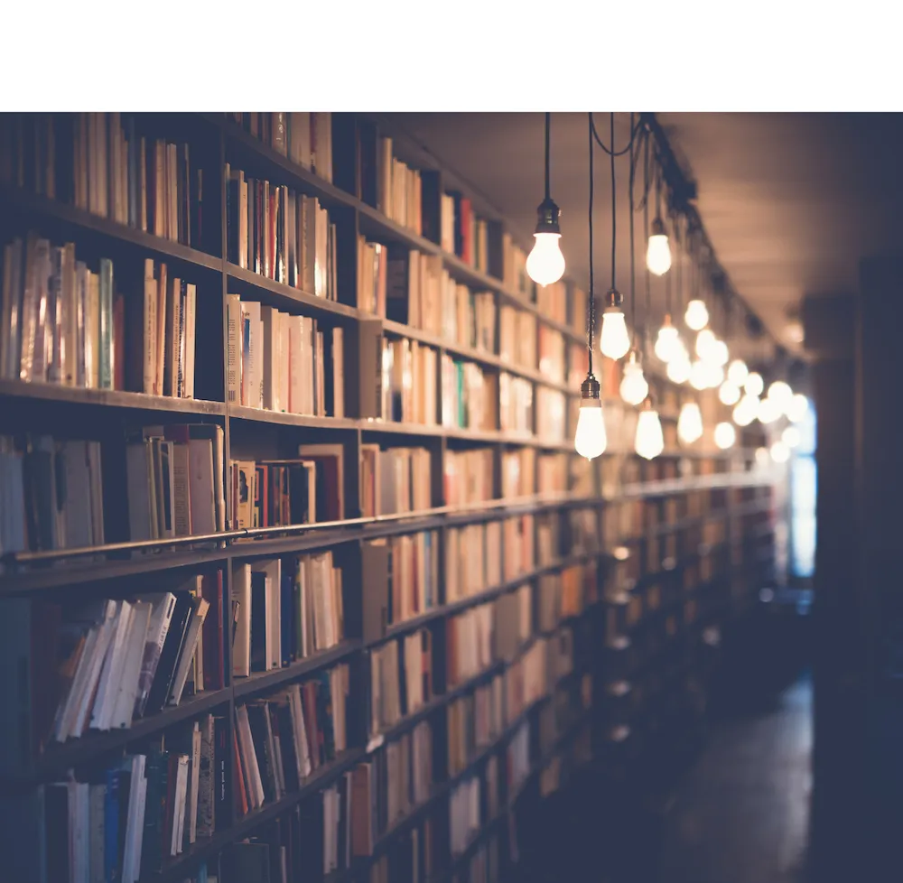 A photo of a shelf of books.