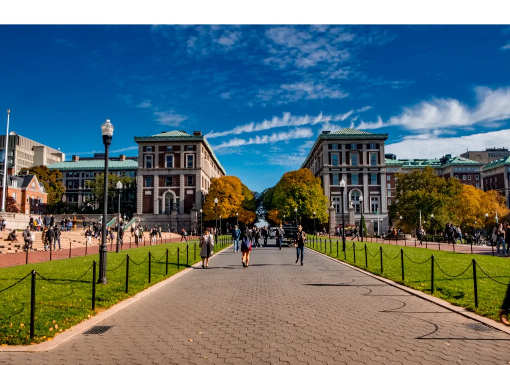 A photo of College Walkway on campus.